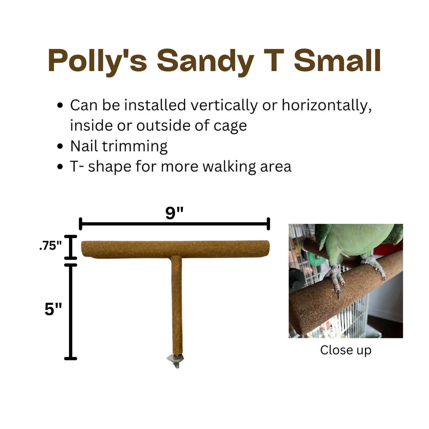Polly's Sandy T Nail Trimming Bird Perch Small Brown