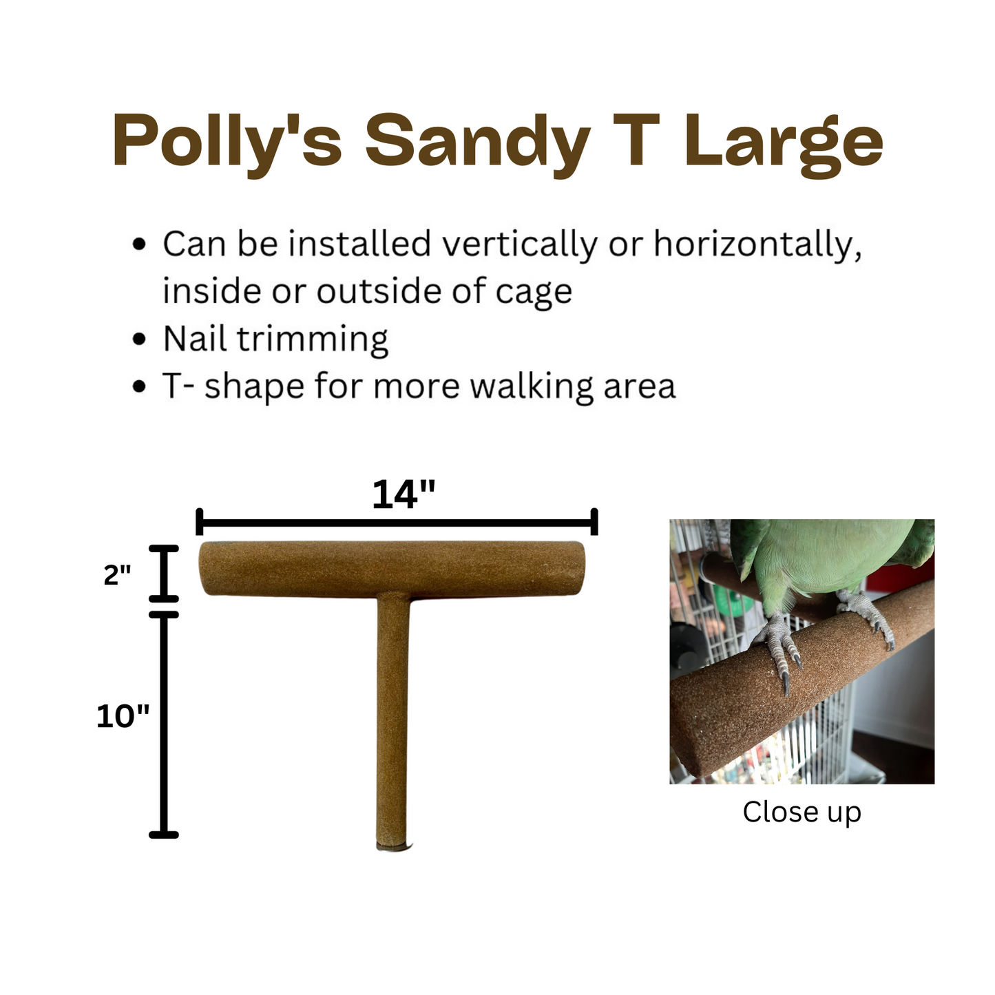 Polly's Sandy T Nail Trimming Bird Perch Large Brown