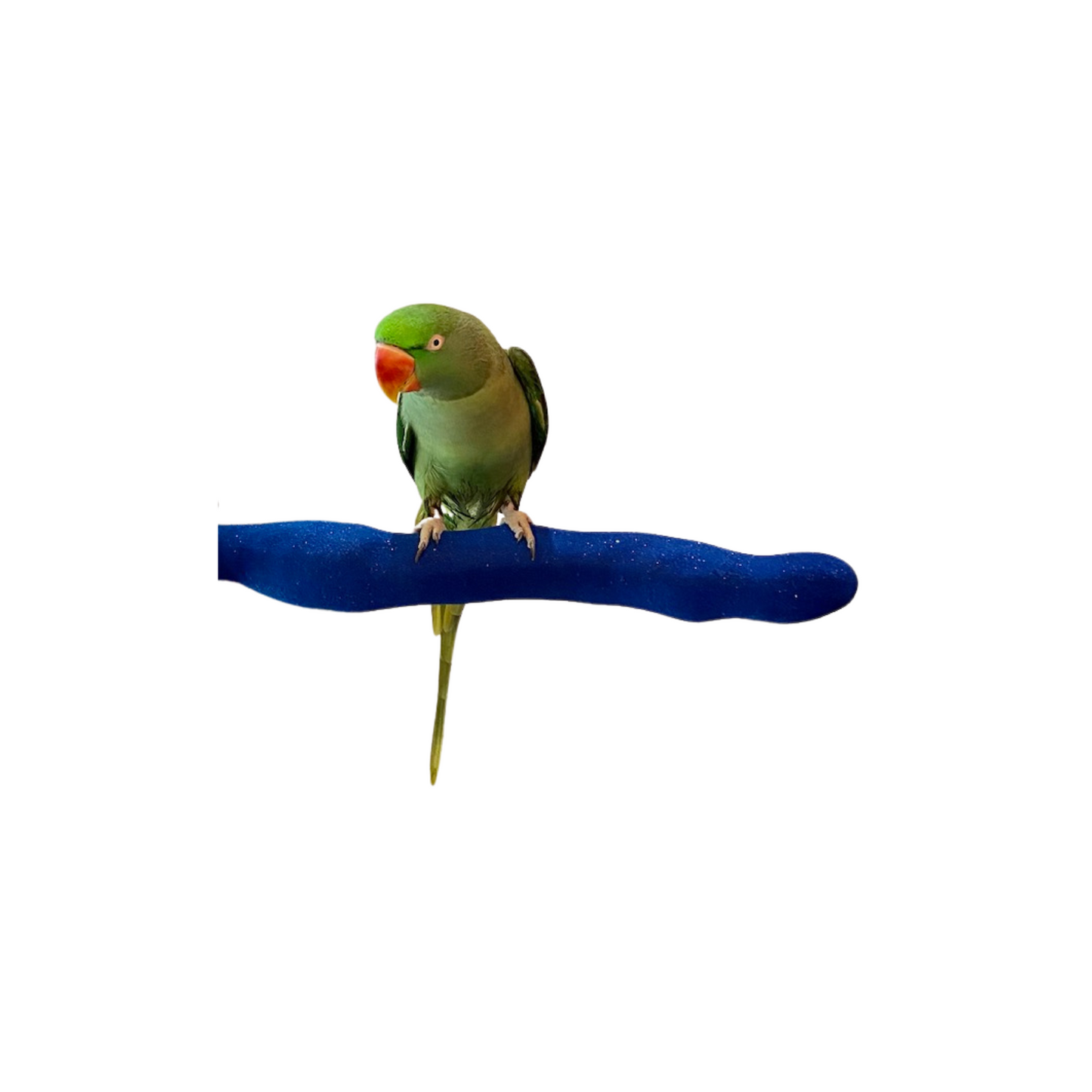 Polly's Orthopedic Sand Walk Perch Large