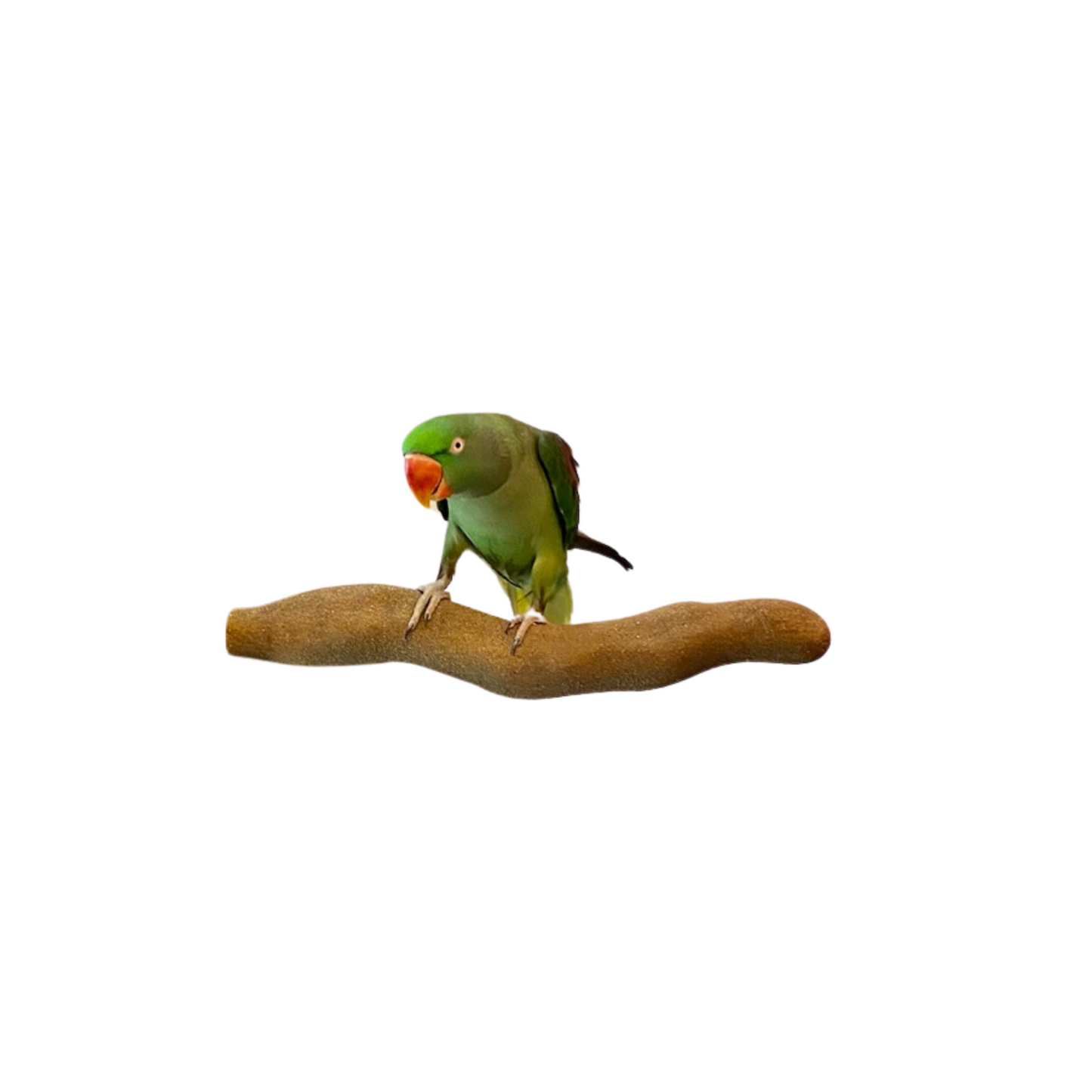 Polly's Orthopedic Sand Walk Perch Large