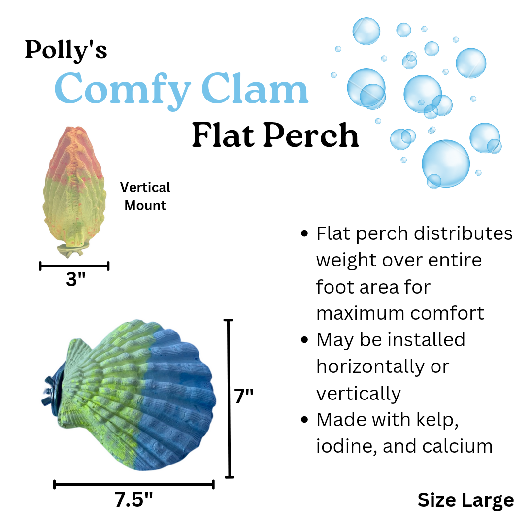 Polly's Comfy Clams