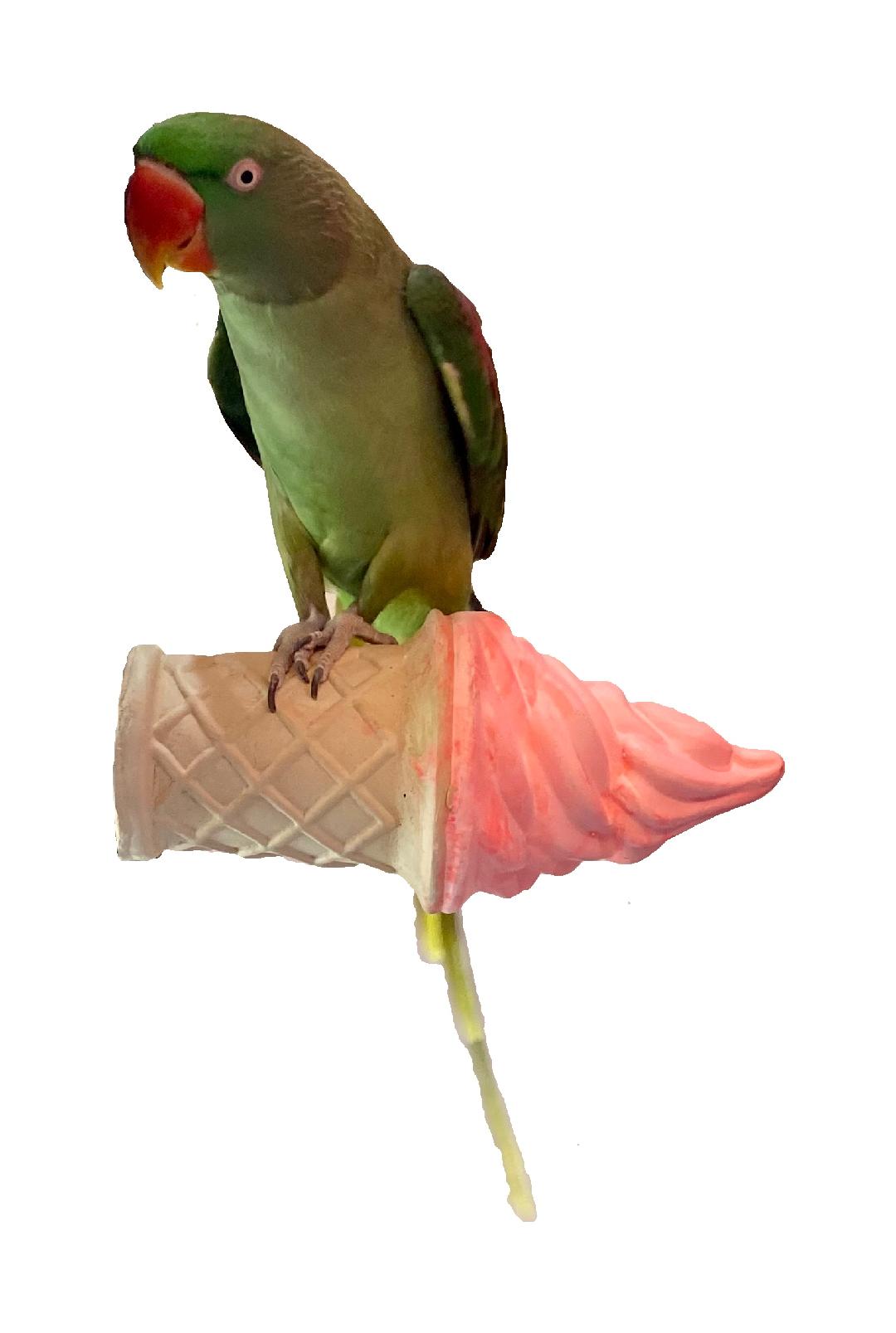 Polly's Ice Cream Perches
