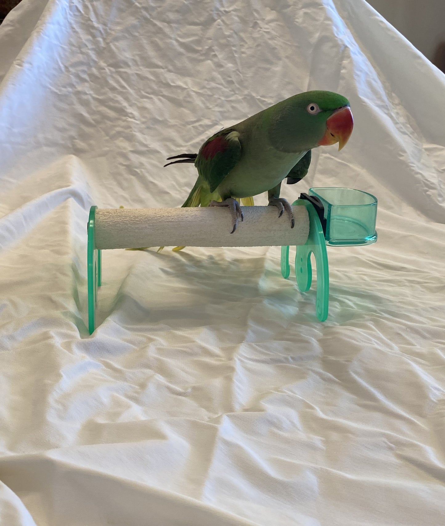 Polly's Mini Stands