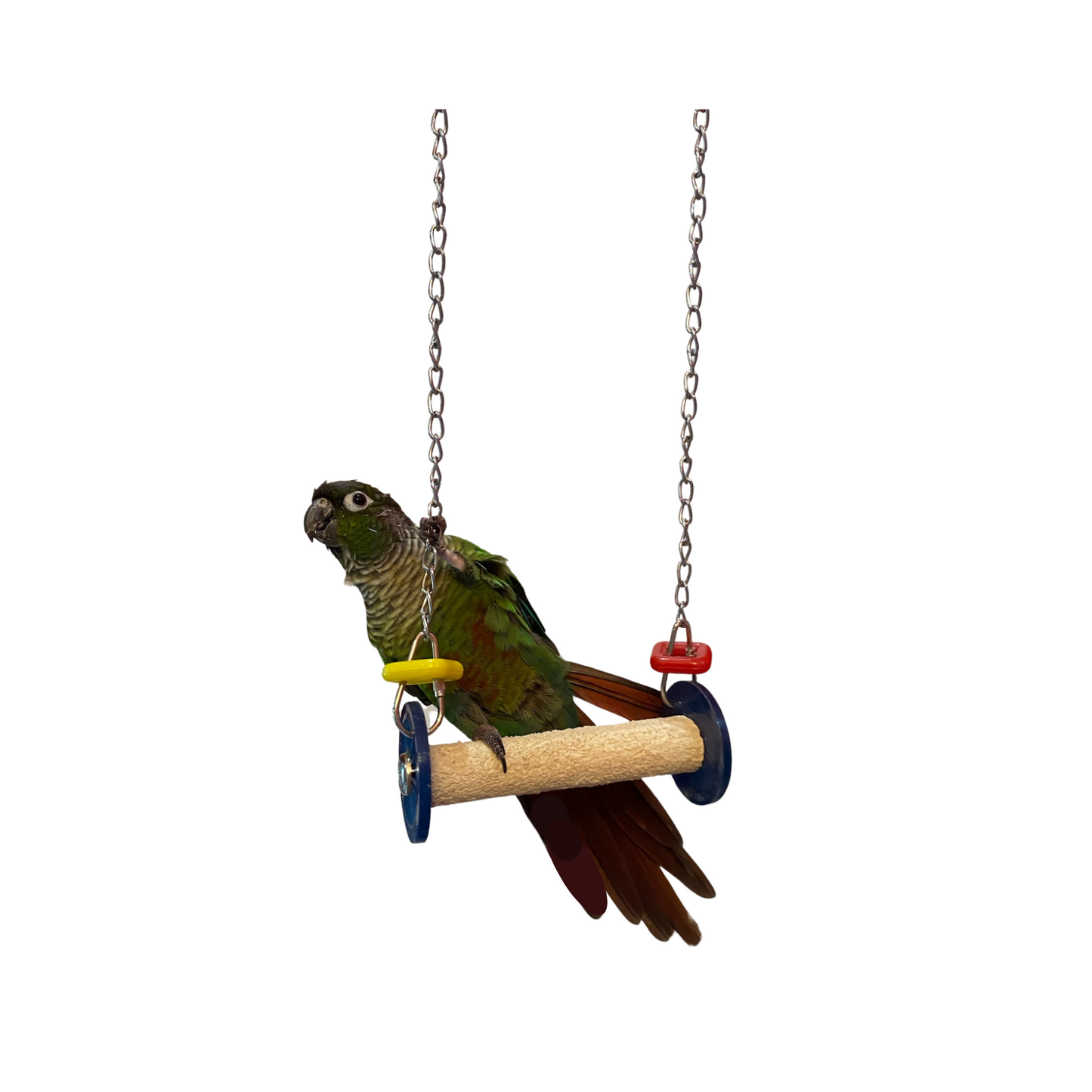 Polly's Roll or Swing for Birds Extra Small
