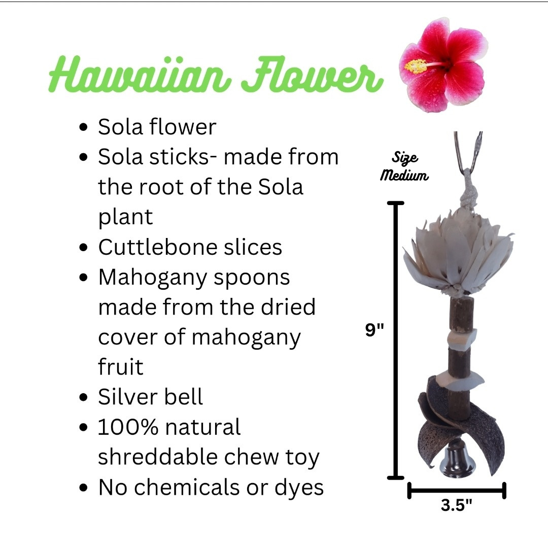 Sola Flower Medium